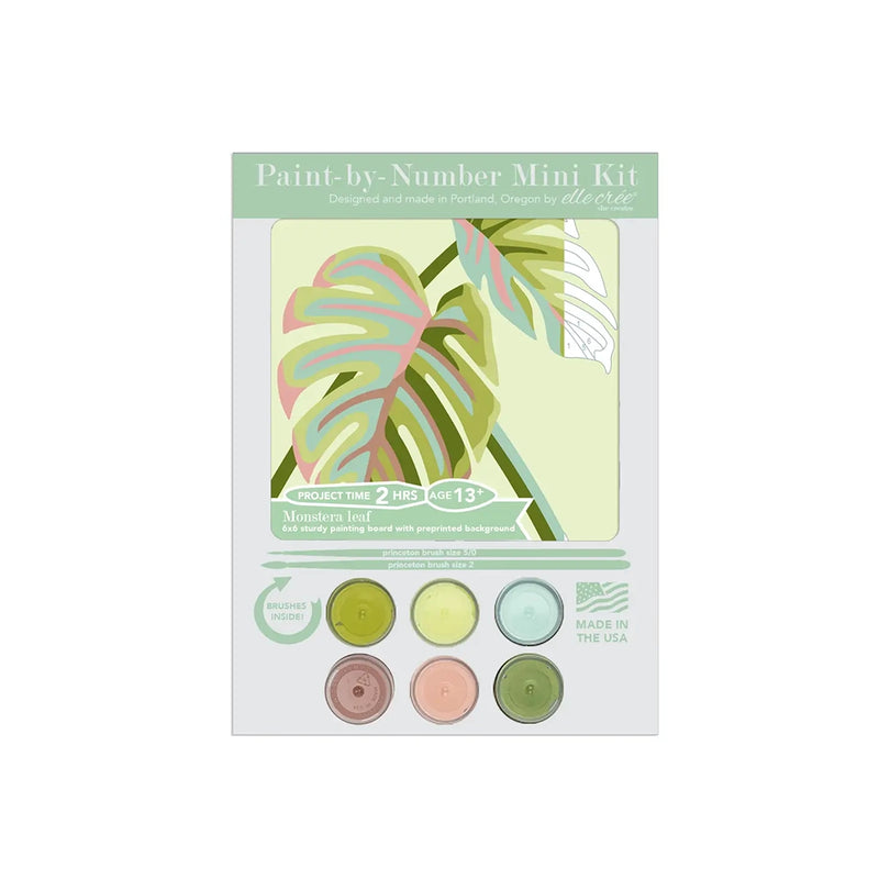 Mini Paint-By Number Kit