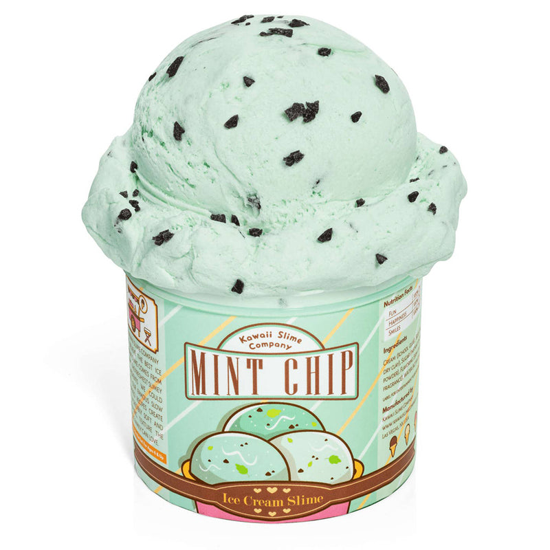 Ice Cream Pint Slime 11 oz- Mint Chip