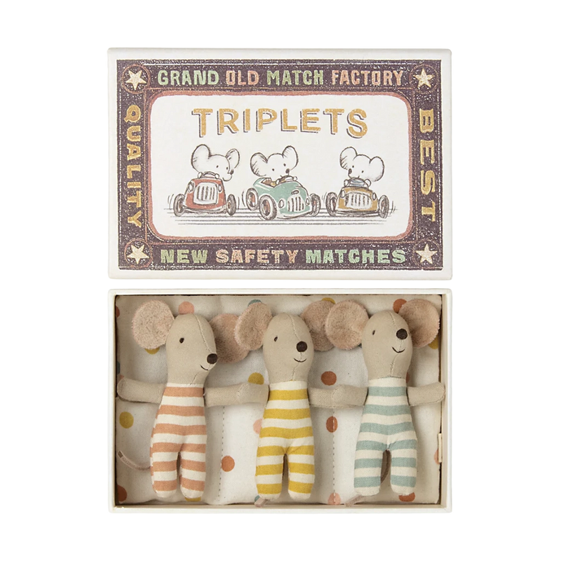 Triplets Baby Mice in Matchbox (2024)